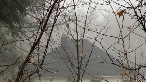 through the seasons - IMG_7529.jpg