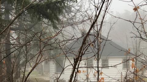 through the seasons - IMG_7528.jpg