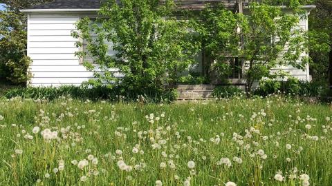 through the seasons - IMG_9606.jpg