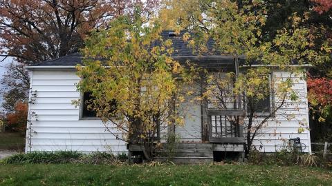 through the seasons - IMG_0499.jpg