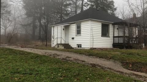 through the seasons - IMG_7535.jpg