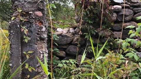 2020 - IMG_5478 (1).jpg