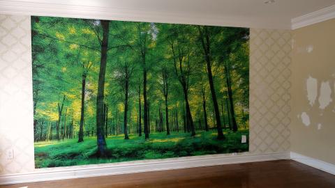 Slightly Used Basement June '20 - DSC03693.JPG