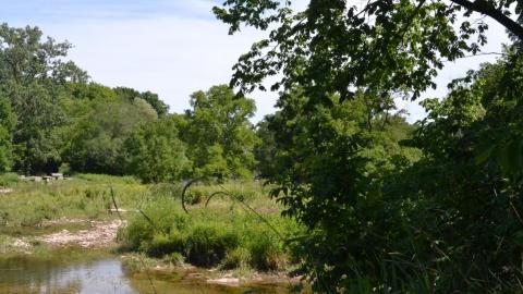 quick visit - F37C4229-B185-482B-91C3-F9F50E9E0BCC_1_105_c.jpeg