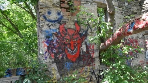 quick visit - EF9A7585-F913-4F39-A380-8C8B0DF1940E_1_105_c.jpeg