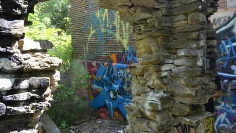 quick visit - C3210605-3251-458E-9B70-C66589C96B84_1_105_c.jpeg