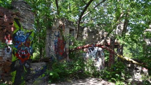 quick visit - C70DAE94-7573-4996-99FE-F84654F978E1_1_105_c.jpeg