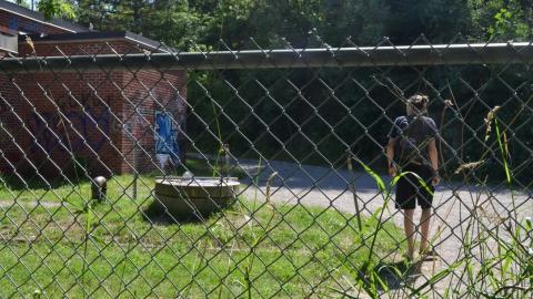 quick visit - 6707B0CA-2305-4628-BD9A-043F9D488824_1_105_c.jpeg