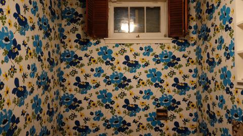 Gutted June '20 - DSC03767.JPG