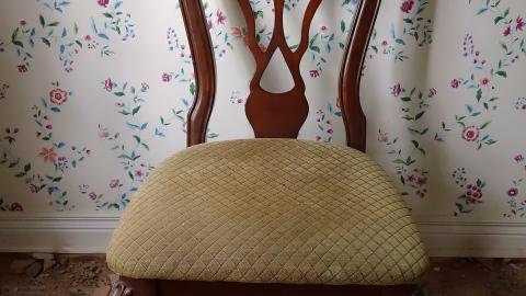 Gutted June '20 - DSC03772.JPG