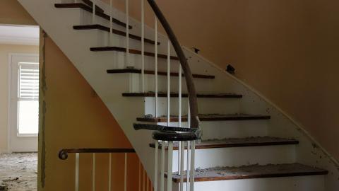 Gutted June '20 - DSC03775.JPG