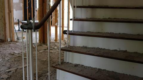 Gutted June '20 - DSC03791.JPG