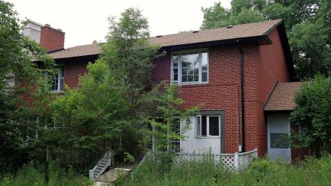 Gutted June '20 - DSC03801.JPG