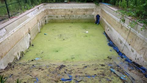 Gutted June '20 - DSC03803.JPG