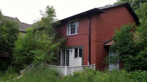 Gutted June '20 - DSC03805.JPG