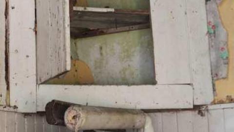 Photo from June 2011