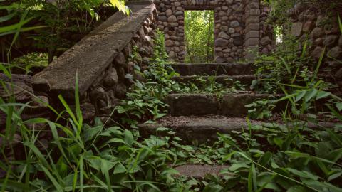 2017 - received_467457707615627.jpeg