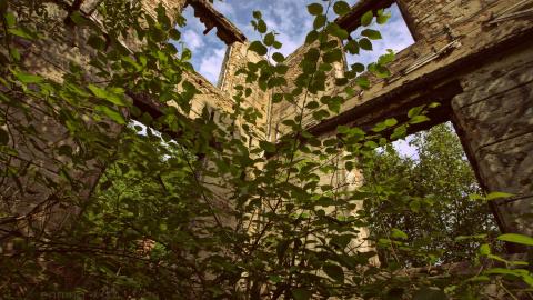 2017 - received_2796572157269539.jpeg