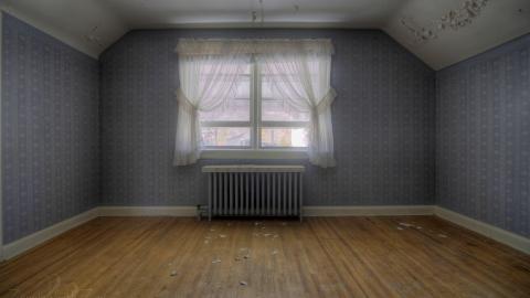 House of Peelies photo 3