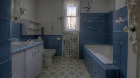 February 2020 - Collages23.jpg