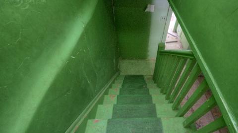 February 2020 - Collages29.jpg