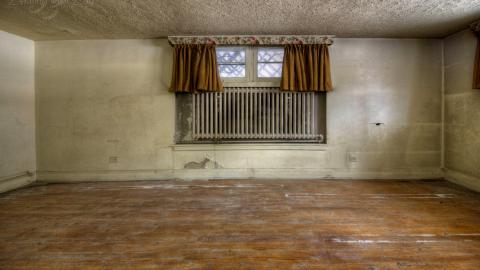 House of Peelies photo 5