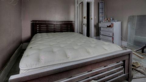 July 2019 - Collages3.jpg