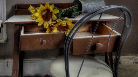 July 2019 - Collages4.jpg