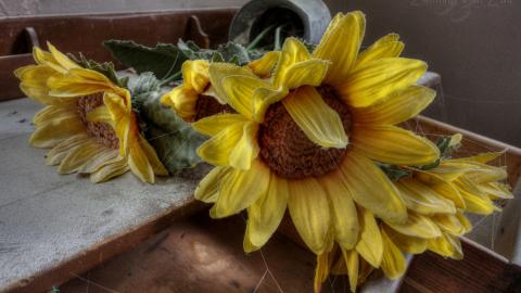 Photo from July 2019