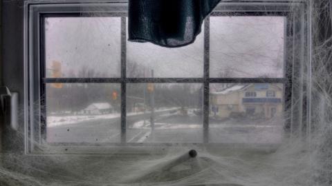 July 2019 - Collages6.jpg