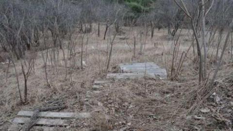 Photo from observatory