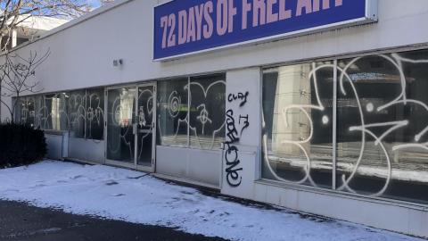 Feb 2021 - 1927B325-DAF6-4E4E-967E-069431863674.jpeg