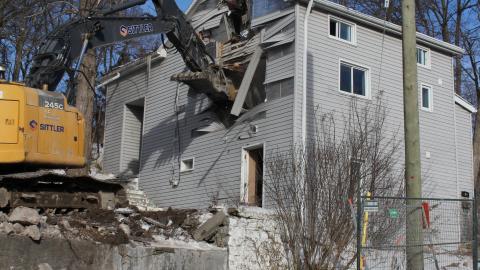 The Last Of The Three - IMG_7230.JPG