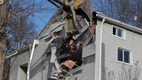 The Last Of The Three - IMG_7250.JPG