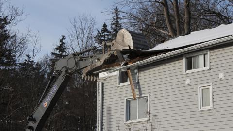 The Last Of The Three - IMG_7253.JPG