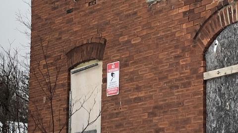 Protests across the street - C4EFAFFA-E4A6-4D06-8CED-7933F4B81307.jpeg