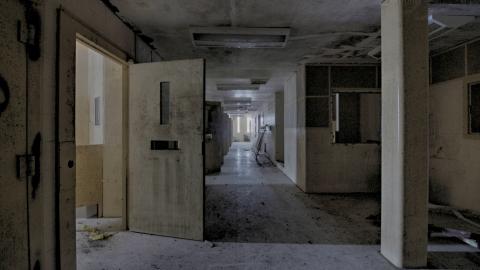 November 2018 - Collages7.jpg