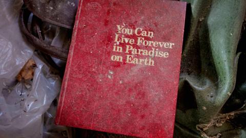 Photo from November 2018