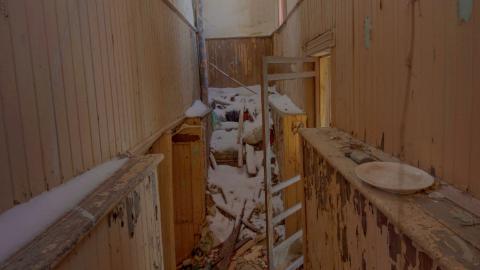 November 2018 - Collages9.jpg