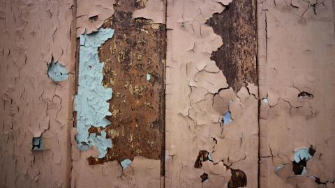 November 2018 - Collages10.jpg