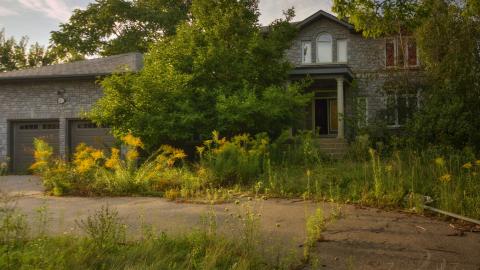 August 2018 - Collages6.jpg