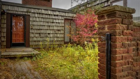 November 2018 - Collages1.jpg