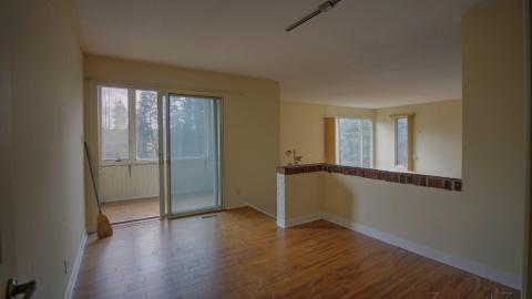 November 2018 - Collages7.jpg