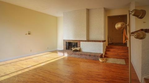 November 2018 - Collages9.jpg