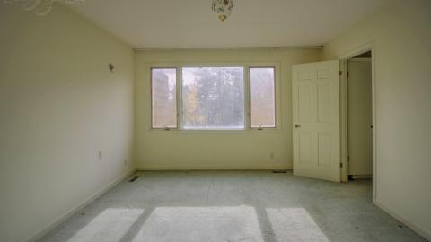 November 2018 - Collages10.jpg