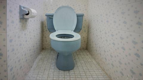 November 2018 - Collages11.jpg