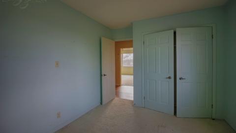 November 2018 - Collages12.jpg