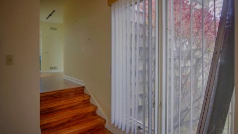 November 2018 - Collages14.jpg