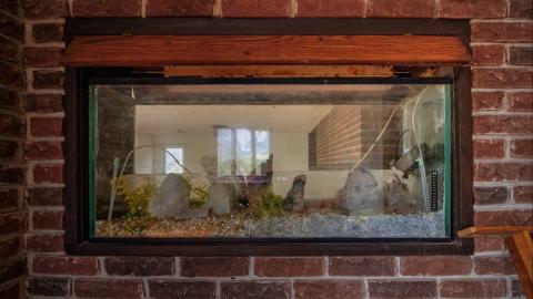 November 2018 - Collages23.jpg