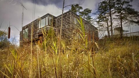 November 2018 - Collages30.jpg